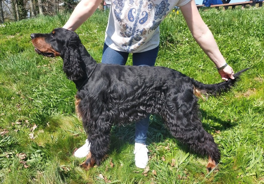 Thales Du Manoir De Diane