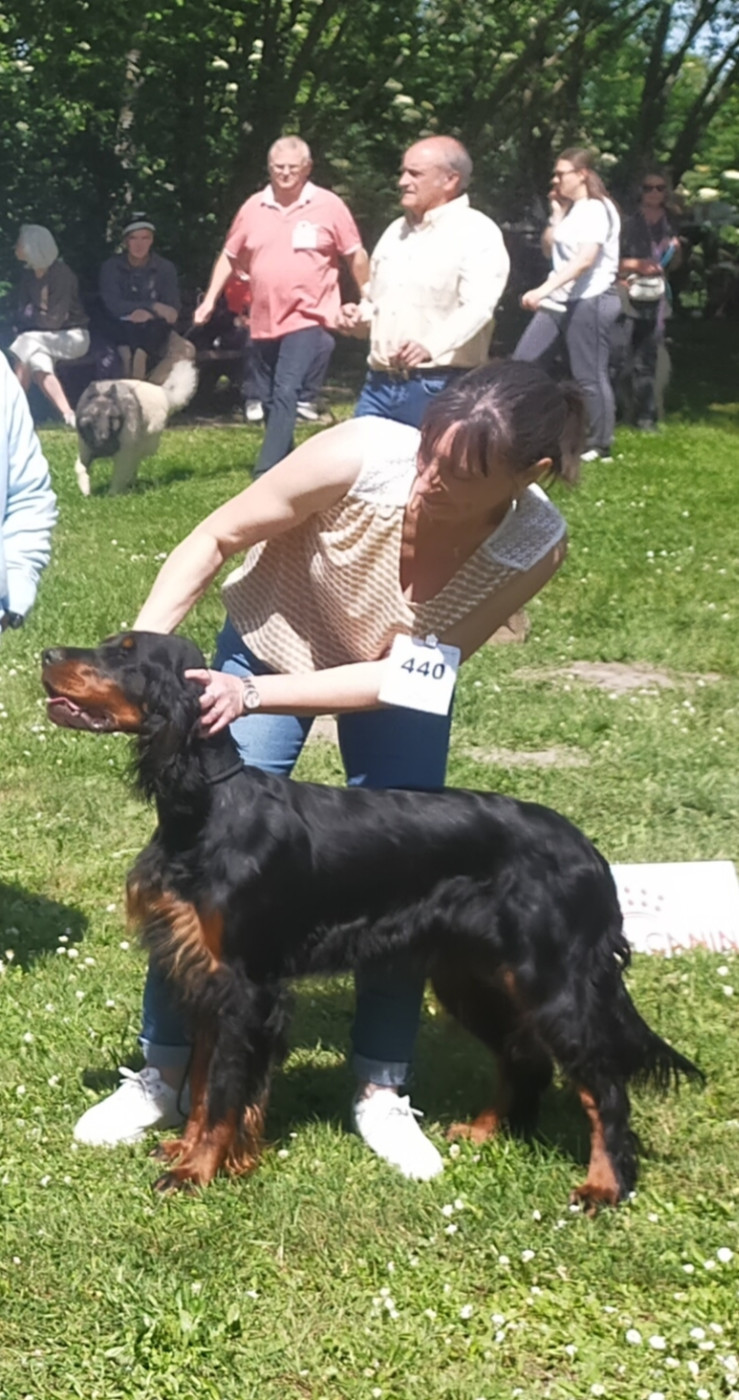 Vague  del Campo Te Amo