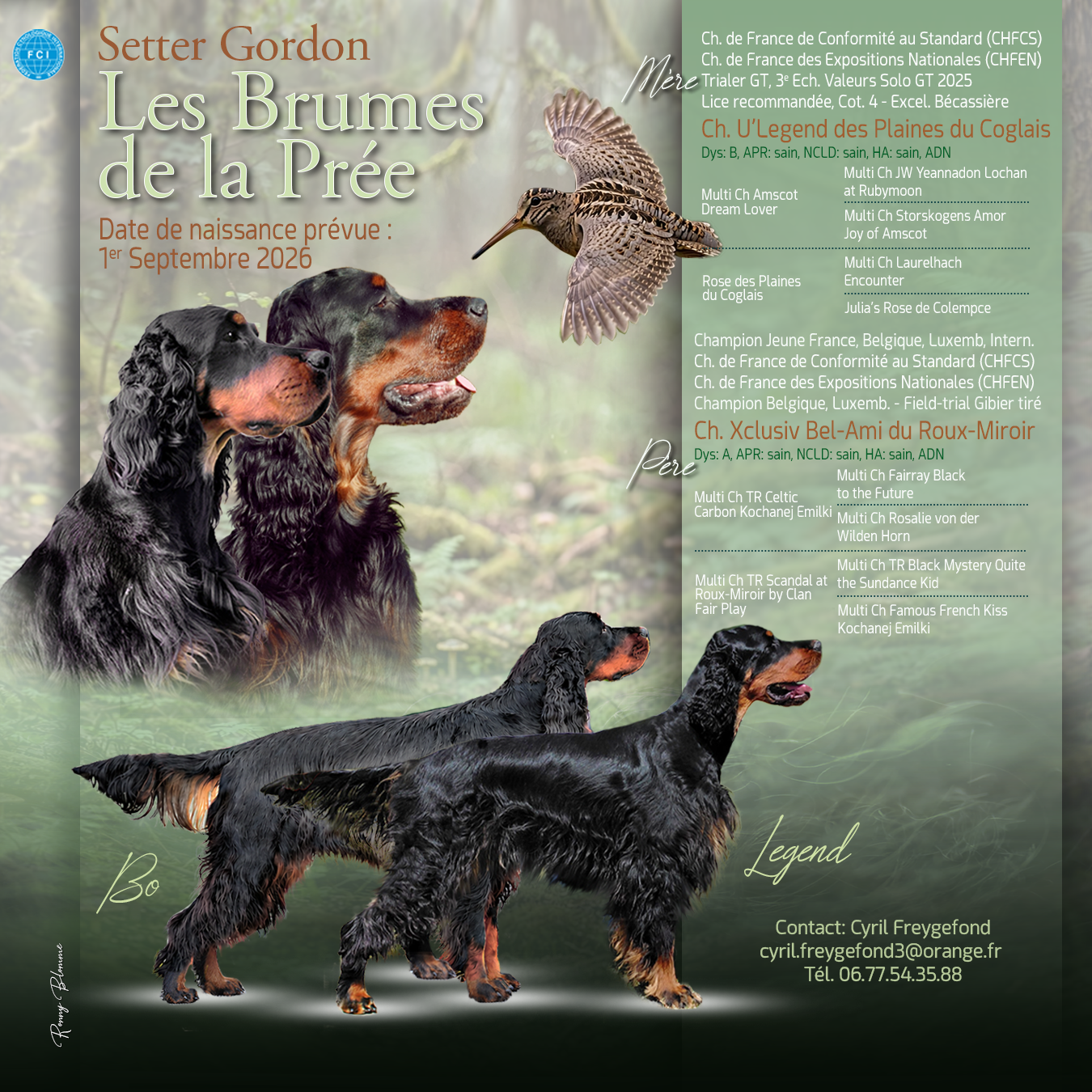 Grande Nouvelle chez Les Brumes de la Prée
